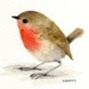 Meet your Posher, Robynne